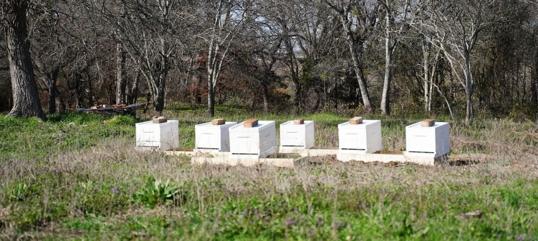 Initial Beekeeping Installation February 22, 2023