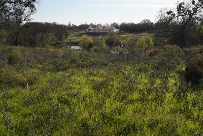 Taken from the rear of the property