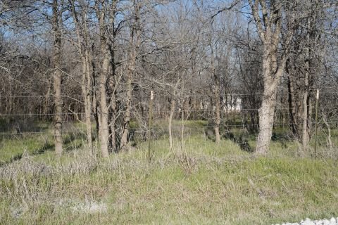 House Thru Trees